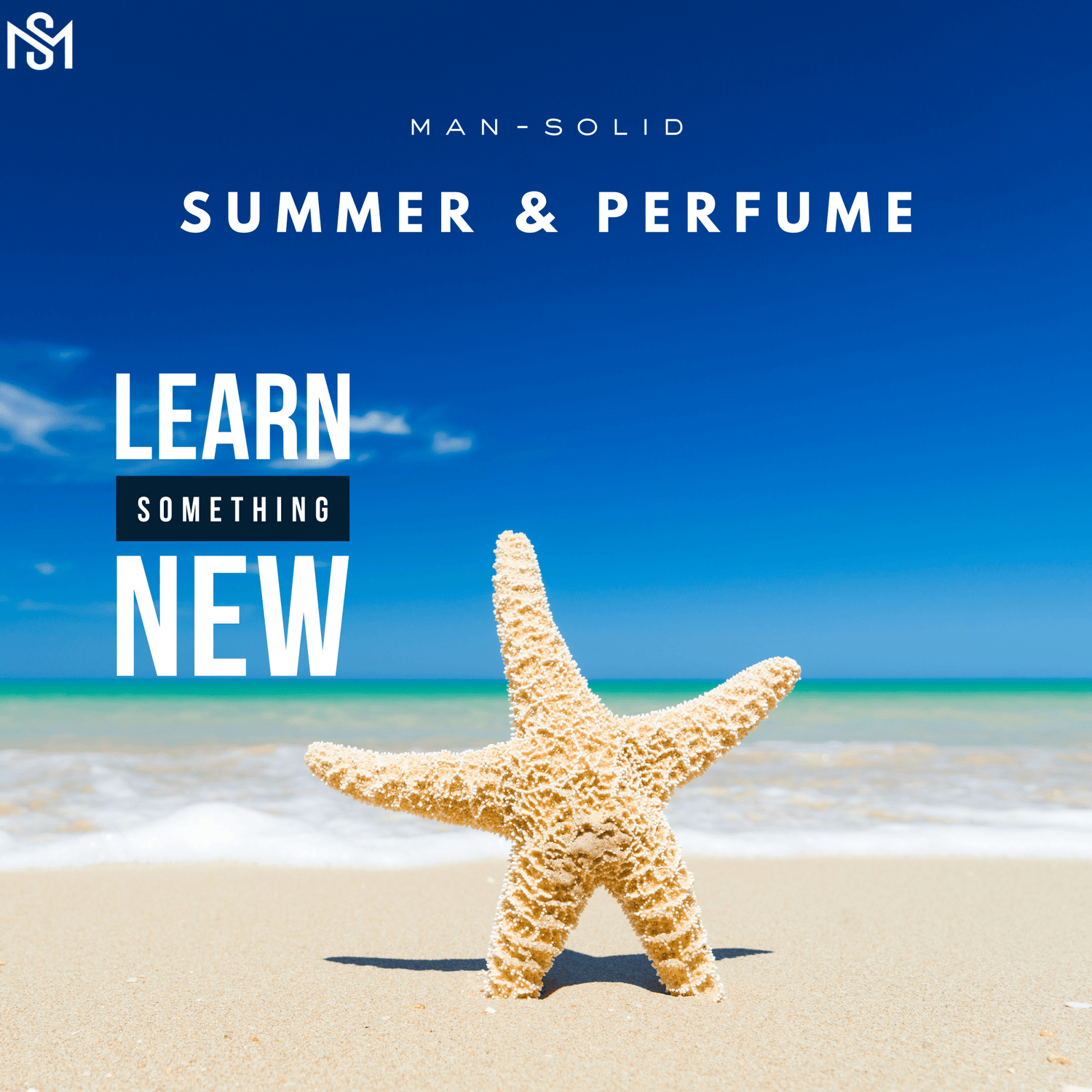 Beat the Heat: Best Summer Fragrances for Men in 2025 – Citrus vs. Aquatic - Man-Solid®