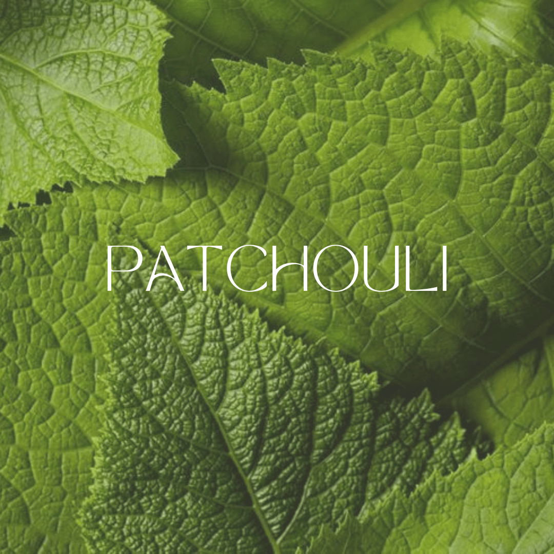 Patchouli in Perfume: A Must-Have Earthy Note - Man-Solid®
