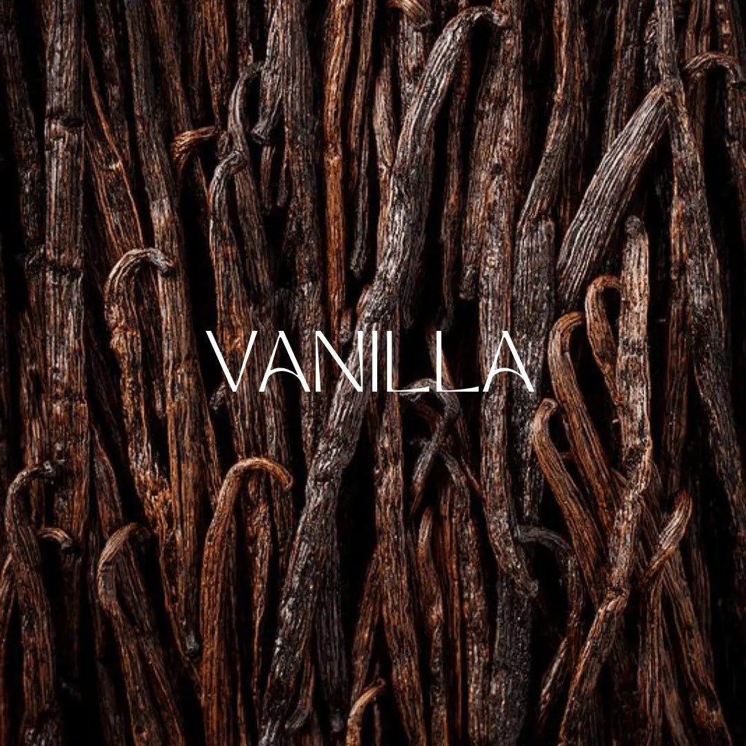 Vanilla in Perfume: The Timeless Sweet Base Note That Defines Elegance - Man-Solid®
