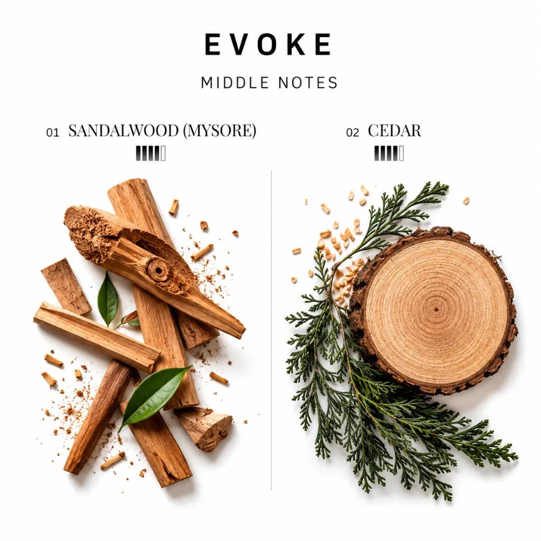 Evoke (EDP) - Earthy Casual Perfume - Man-Solid®