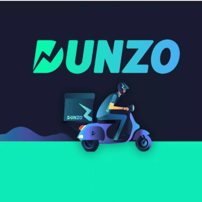 The Rise and Fall of Dunzo: A Cautionary Tale for Indian Startups - Man-Solid®