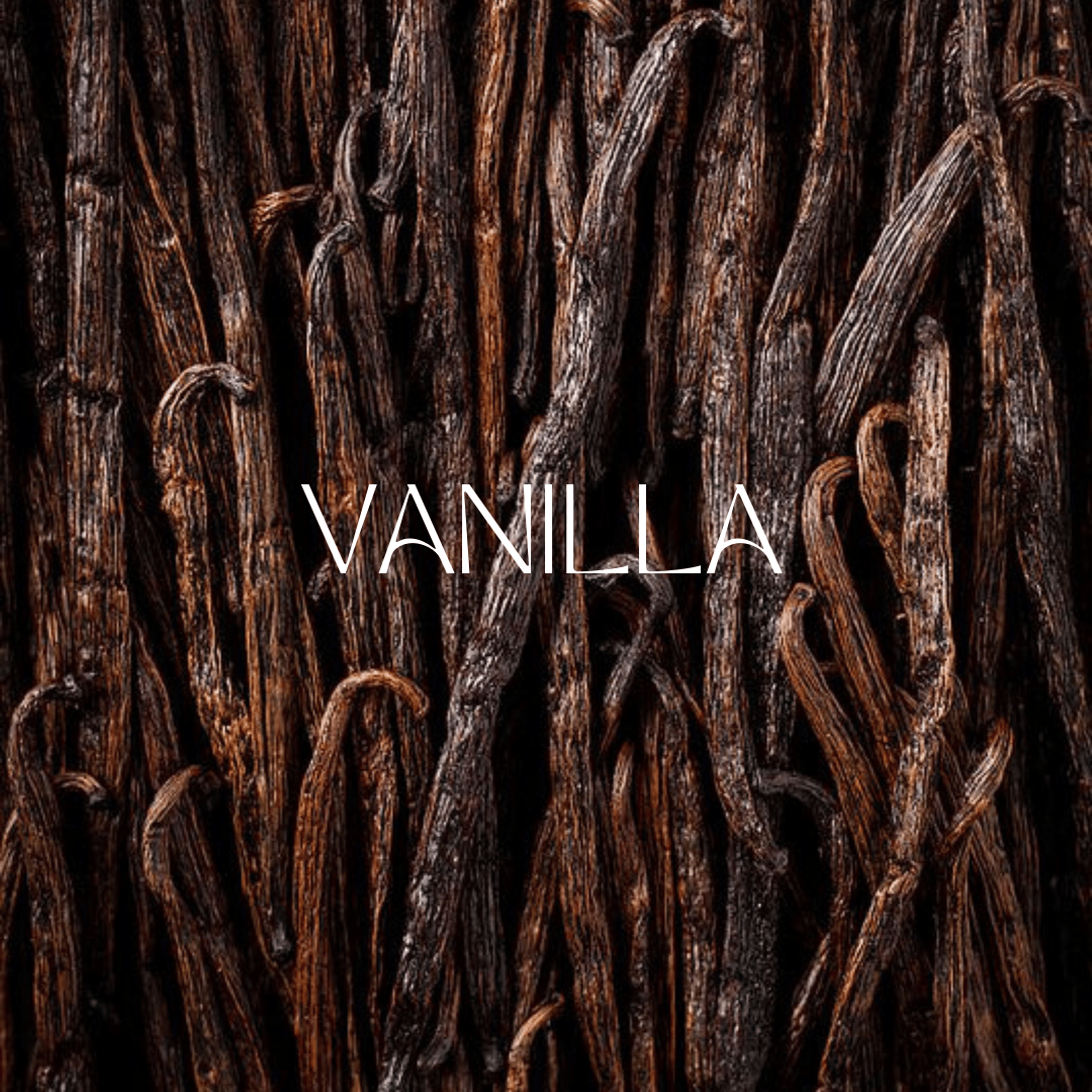 Vanilla in Perfume: The Timeless Sweet Base Note That Defines Elegance - Man-Solid®