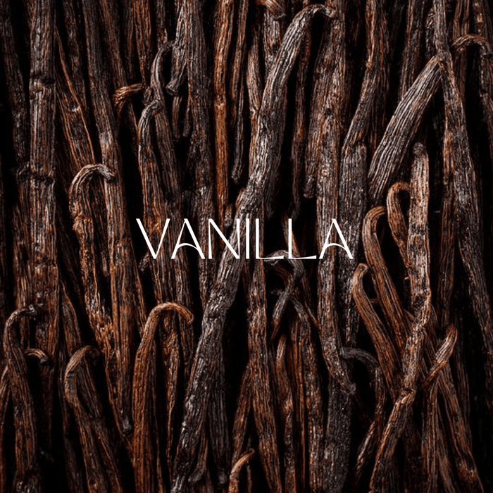 Vanilla in Perfume: The Timeless Sweet Base Note That Defines Elegance - Man-Solid®