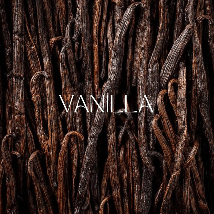 Vanilla in Perfume: The Timeless Sweet Base Note That Defines Elegance - Man-Solid®