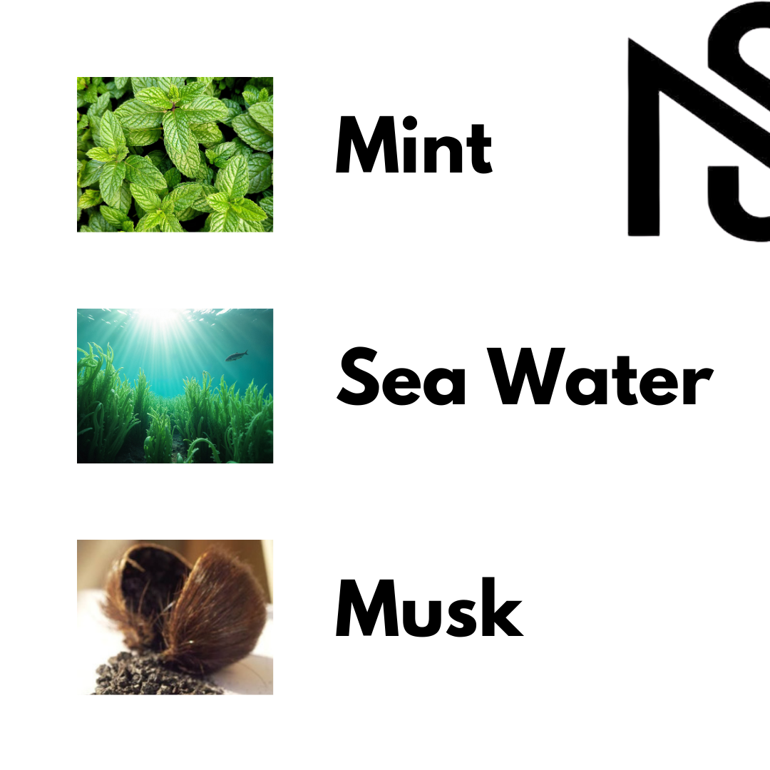 Man-Solid Black Official | 100 ML | An Aquatic and Fresh Citrus Blend | Non Alcoholic