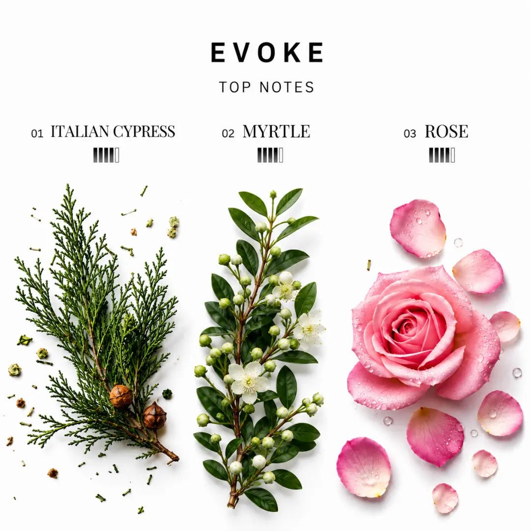 Evoke (EDP) - Earthy Casual Perfume - Man-Solid®